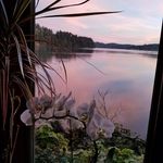 Diane Wardlow - @weavingbytheriver - Instagram