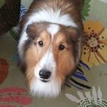 Diane Wayne - @dianewayne3352 - Instagram