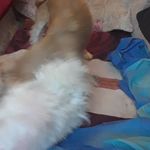 Diane Weimer - @dianaweimerhazel_ - Instagram