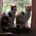 Dianne Werth - Facebook