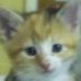 Diane Wesson - Facebook