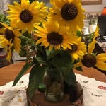 Dianne Westcott - @duckpondma - Instagram