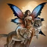 diane westermann - @dianewestermann - Instagram
