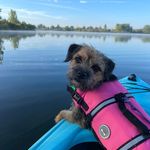 Diane Westfall - @wiggles1952 - Instagram