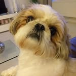 Dianne Westphal - @diannewestphal - Instagram