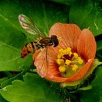 Diane Wetherbee - @dmwetherbee - Instagram