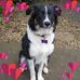 Diane Wetherill - Facebook