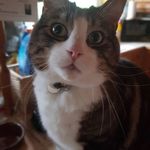 diane wetherill - @wetherilldiane - Instagram