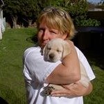 Diane Whitcomb - @dbwhitcomb - Instagram