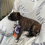 Diane Whitcombe - @whitcombe.diane - Instagram