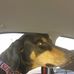 Diane Whiting - Facebook