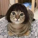 Diane Whitlock - @diane.whitlock.9 - Instagram