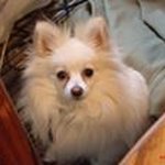 Diane Whitlock - @whitlockdiane - Instagram