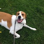Diane Whyte - @dewhyte60 - Instagram
