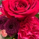 Diane Marie Wicker - @diane.wicker - Instagram
