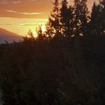 Diane Wicklund - @dianewicklund - Instagram