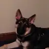 Dee12345 - @dianewilkovich - TikTok