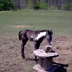 Diane Lynn Wilkowski - Facebook