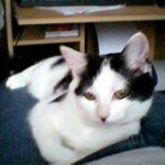 Diane Williamson - @williamsondiane - Instagram