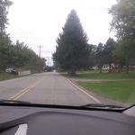 Diane Williamson - @dianewilliamson41 - Instagram