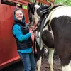 dianewilliamson497 - @dianewilliamson497 - TikTok