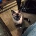 Diane Winchell - Facebook
