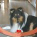 Diane Witchell - Facebook