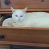 dianewinchell941 - @dianewinchell941 - TikTok