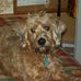 Dian Ewing - Facebook