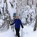 Diane Wing - Facebook