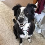 Diane Wingert - @dianewingert - Instagram