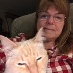 Diane Wingett - @dianewingett - Instagram
