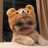 DianeEwing - @meresgrvvdg - TikTok