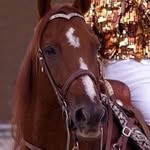 Diane Winters - @diane_winters108 - Instagram