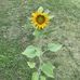 Diane Winters - Facebook