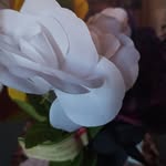 Diane Worrell - @sweetbest1938 - Instagram