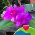 Diane Worrell - Facebook