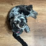 Diane Worrell Clayton - @dianeclayton16 - Instagram
