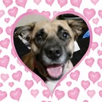 Diane Wright - Facebook