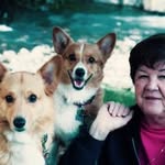 Diane Wright Smith - @wildcorgis - Instagram
