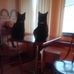 Diane Yeager - Facebook