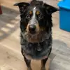 Diann Davis823 - @dianndavis3 - TikTok