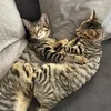 dianneellis51 - @dianneellis51 - TikTok