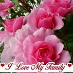 Diann Foster - @diann.foster.96 - Instagram