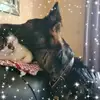 Dianne Foster - @dianne.foster - TikTok