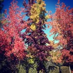 Diane Hill - @diane_hill_ - Instagram