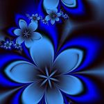 Diann Hoffman LaFond - @hoffmanlafond - Instagram
