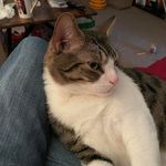 Dianne Hoffman - @dedehuzzah - Instagram