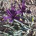 Diann Langley - Facebook