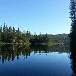 Diane Mitchell - @diane.mitchell.7330 - Instagram